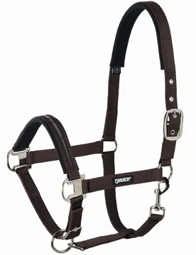 Halfter Pin Buckle, darkbrown P1 - Eskadron - FashionsVida