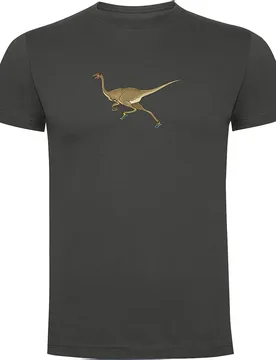 Maglietta A Maniche Corte Dino Run Dark Grey XL - Kruskis - FashionsVida