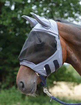 Fliegenmaske FLY BUCKLER, grau VB - Busse - FashionsVida