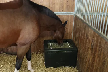 Kerbl Futterraufe HayBox