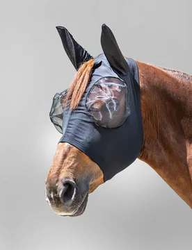 Fliegenmaske PUCK, schwarz Shetty - Waldhausen - FashionsVida