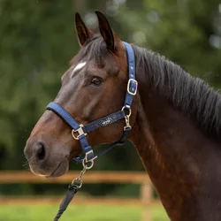 HV Polo Halfter HVP SKYE navy Pony