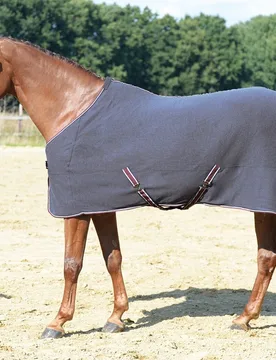 Abschwitzdecke EXCELLENT, grau 145cm - Busse - FashionsVida