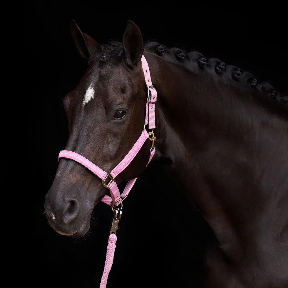 Halfter HVP NENA pretty pink Cob - HV POLO - FashionsVida