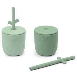 Tazza Straw 2 Pack Wally