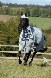Fliegendecke Buzz-Off X-Range Full Neck, silver 130