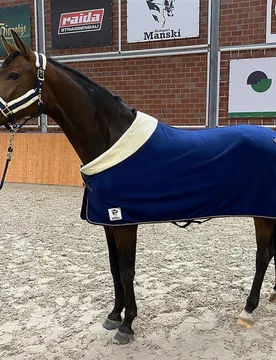 Manski Kombi-Set Eternal Flame, navy-gold 155 Cob - Reitsport Manski - FashionsVida