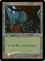 Forest (Arena foil - Beta) Promotional Cards