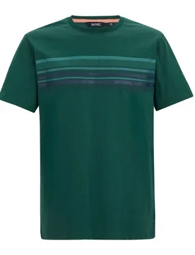 Mens Rendro T-Shirt (Mediterranea) - Medium Blue Cotton - Size 5xl - Regatta - FashionsVida