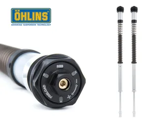Cartuccia Forcella Ohlins Nix 30 Street Harley Davidson Cvo Road Glide 2023-2026