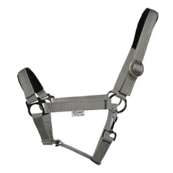 Halfter REGULAR PLUS Chrom Finish grey Full