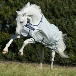 Weidedecke POWER TURNOUT Light, silver 145