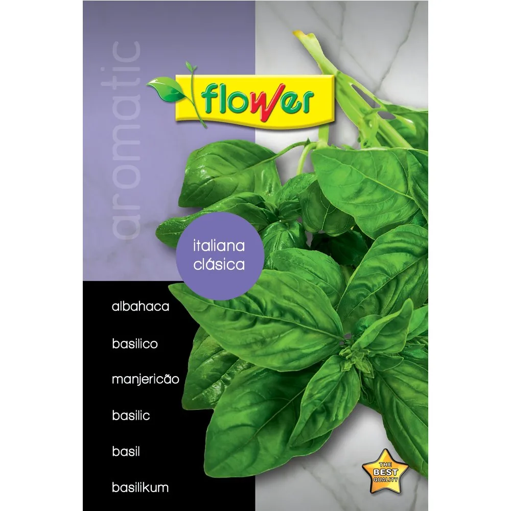 Flower - Sobre semillas albahaca - Flower - FashionsVida