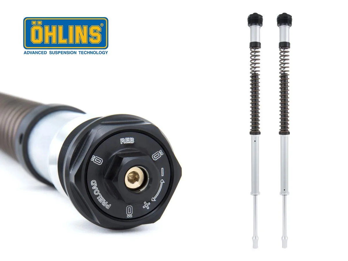 Cartuccia Forcella Ohlins Nix22 Harley Davidson road King / Street Glide 2017-2024 - Öhlins - FashionsVida