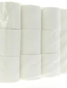 Recycled Paper Toilet Tissue - Pack of 12 - Ecoleaf - FashionsVida
