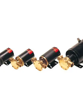 F5b-19 55 L/min Impeller Pump 12v Black 3/4´´ unisex - Johnson Pump - FashionsVida