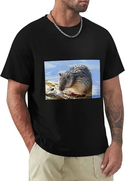 Rakali - Australian water rat. T-Shirt Blouse cute clothes tshirts personalised baggy shirts men clothings - Aliexpress - FashionsVida