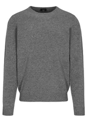XXL Rdh.-Pullover, uni male