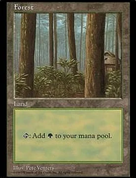 Forest (APAC Land Red - Japan) Promotional Cards - Magic: The Gathering - FashionsVida