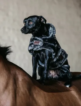 Kentucky Dogwear Hundemantel FAKE FUR grau XXS - Kentucky Horsewear - FashionsVida