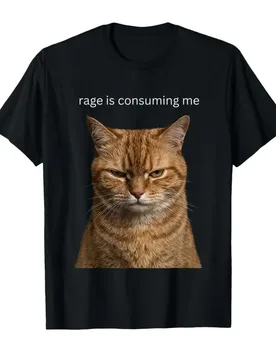 Rage is Consuming Me Silly Staring Funny Cat Meme T-shirt For Men Women 100% Cotton T Shirts Short Sleeve Tops 0427-1 - Aliexpress - FashionsVida