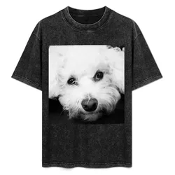 Cavachon T-Shirt Functional Casual Short Sleeve Tee