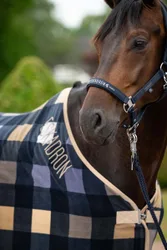 Halfter SPARKLE DOUBLE PIN Classic Sports FS26 navy P2