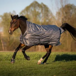 Outdoordecke RAIN-DEAR 200 grau (navy) 165 cm
