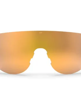 Blank Sunglasses Gold Gold/CAT3 unisex - Spektrum - FashionsVida
