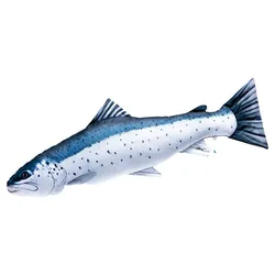 Il Cuscino Gigante A Forma Di Trota Di Mare