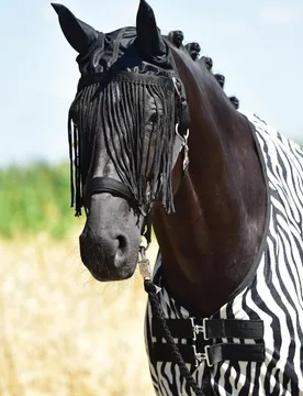 Ohrenschutz FLY PROTECTOR schwarz P - Busse - FashionsVida