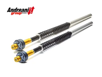 Kit Cartuccia Forcella Suzuki Burgman An 650 2009-2012
