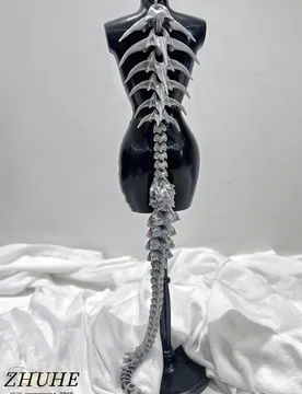The Giant Dragon Spine Necklace In Punk Gothic Style Is A Perfect Gift For Men's And Women's Jewelry And Accessory Parties - Aliexpress - FashionsVida