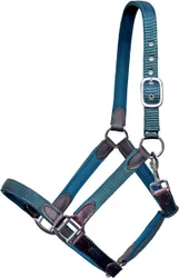 Halfter CHOLET, Nylon-Neopren-Leder, lila X-FULL