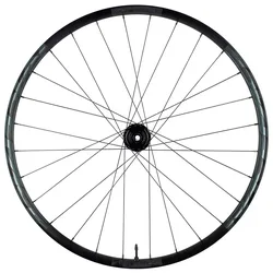 Ruota Anteriore Da Mtb Aeffect R 29´´ 6b Disc Tubeless Black
