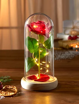 Ewige Rose im Glas mit Licht Eldo - Eldo - FashionsVida