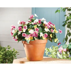 Künstlicher Blumenstrauß Stiefmütterchen , 3er-Set