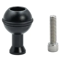 Divevolk Testa A Sfera M6