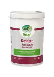 Kieselgur getreidefrei 1 kg Dose