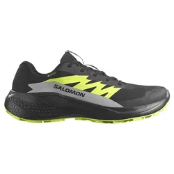 Alphaglide Gore-tex® Trail Running Shoes Black / Alloy / Sharp Green UK 10.5 Men