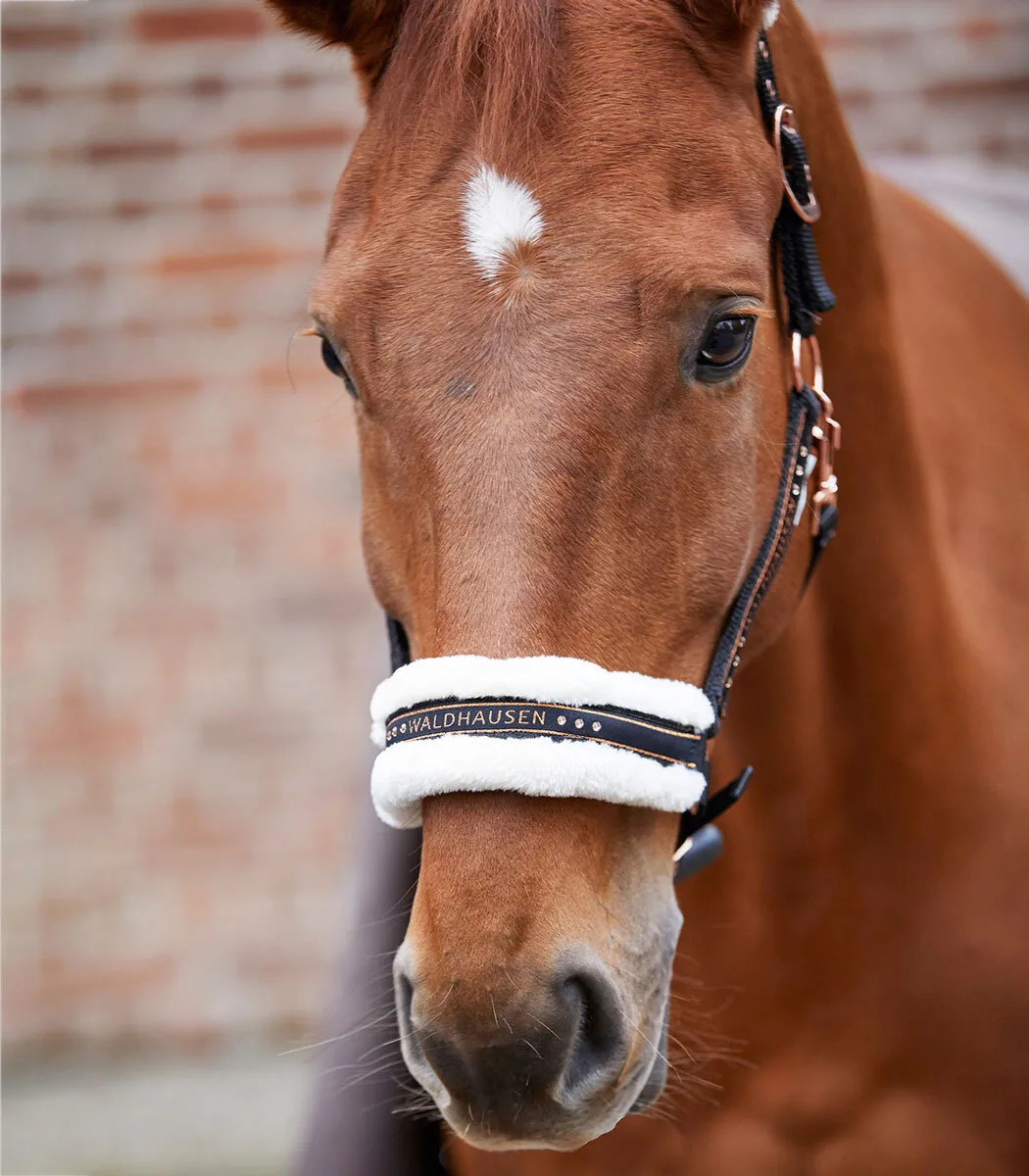 Halfter Elegant, schwarz/roségold VB - Waldhausen - FashionsVida