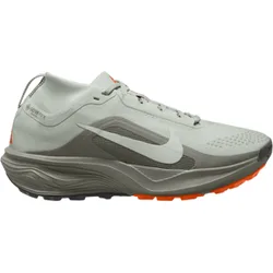 ACG PEGASUS TRAIL GTX Trailschuhe Damen Light Silver/Light Silver-Light Army 38,5