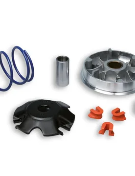 Variatore Multivar 2000 Per Peugeot 100 Cc Kat Peugeot X-Fight 100 2t - Malossi - FashionsVida