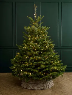 Full Size Christmas Tree with Lights - M&S Flower Market - FashionsVida