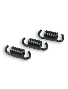 Molle Frizione 2,2 Nere Racing Per Frizioni Delta Fly Clutch Benelli Pepe Lx 50 2t Euro 2 (Qj1e40qmb-4) - Malossi - FashionsVida