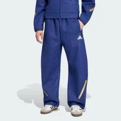 Pantaloni Z.N.E. Italia 26 L Victory Blue