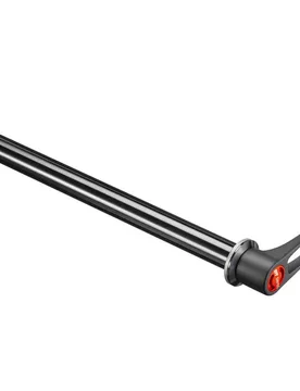 Asse Passante Rws 10 Fb Asm Black - DT Swiss - FashionsVida
