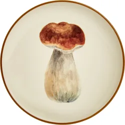 Plato de pan boletus Setas