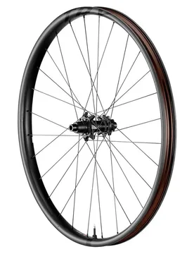 Ruota Posteriore Da Mtb Trx 29´´ Boost 6b Disc Tubeless Hookless Black - Giant - FashionsVida