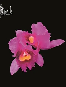 Orchid von - CD (Digipak, Re-Release) - None - unisex - Opeth - FashionsVida